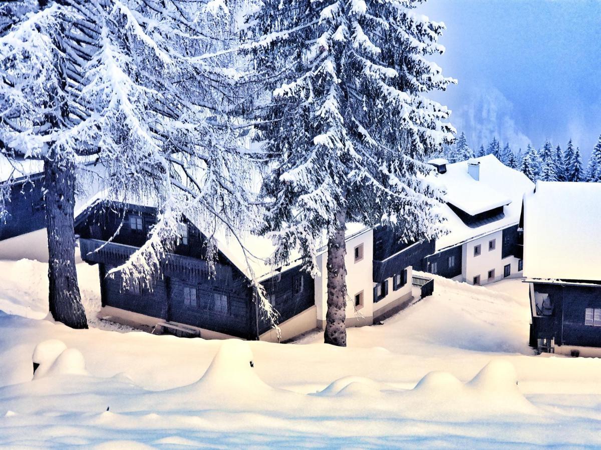 Das Bergerleben ซอนเนนอัลเพอ นัสส์เฟลด์ ภายนอก รูปภาพ
